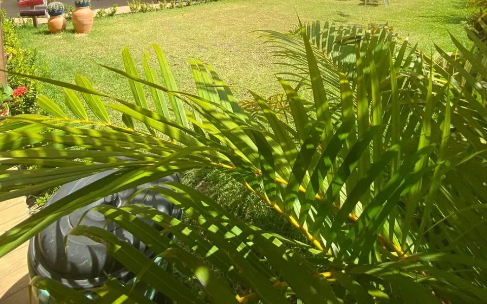 Foto de Pousada o Sol de Maragogi