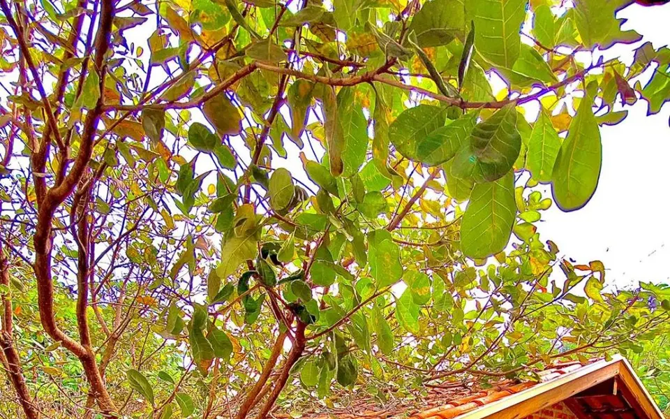 Foto de Hotel Pousada o Sole Mio