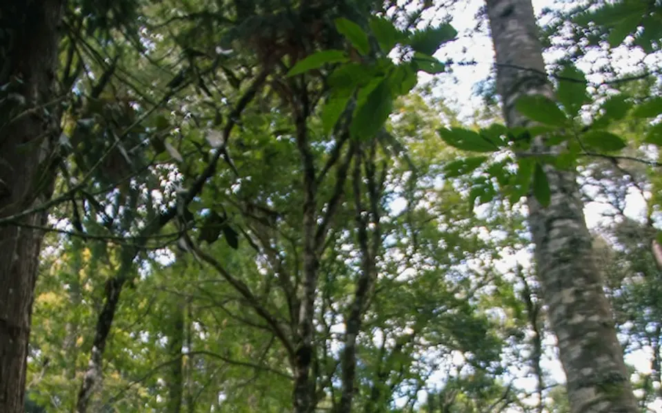 Foto de Estalagem Serra de Minas