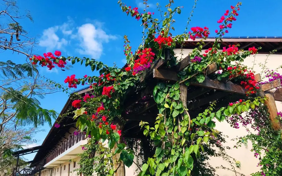 Foto de Hotel triunfo