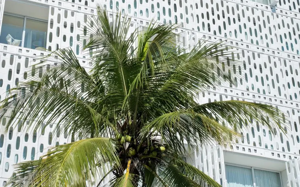 Foto de Emiliano Rio