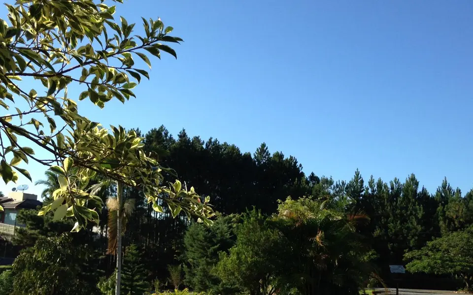 Foto 3 de Hotel Bergblick