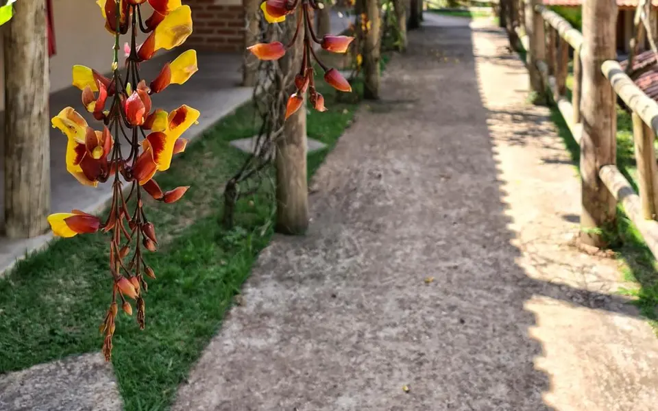 Foto 4 de Pousada Araucária
